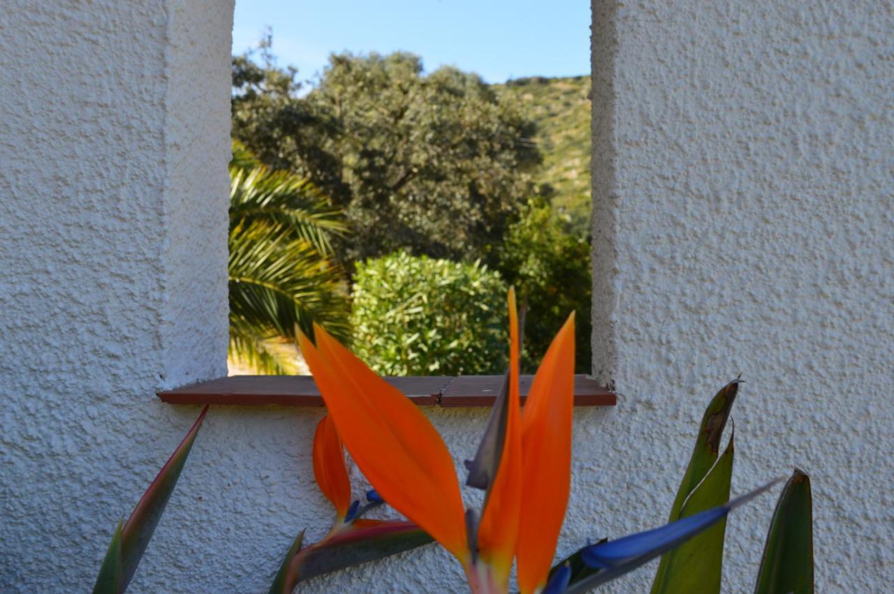 Ferienwohnung Casa Jiby Llosa de Camacho Exterior foto